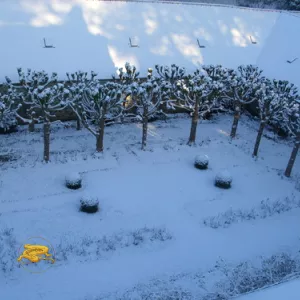 Le jardin français sous la neige